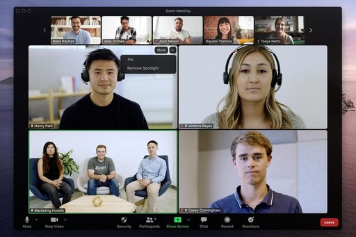 Video Conference